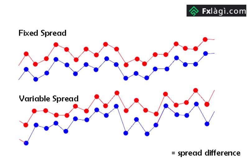 Fixed Spread cố định