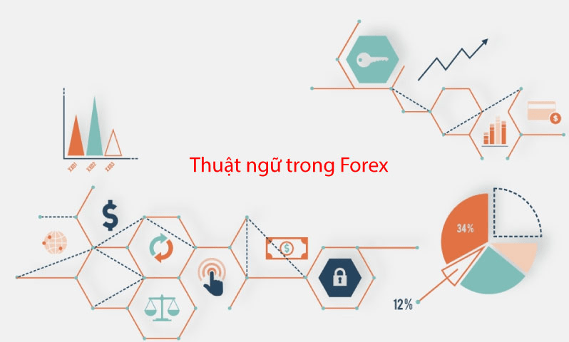 Học, hiểu, ghi nhớ và vận dụng thuật ngữ forex là bước đi quan trọng trước khi chính thức tham gia sàn giao dịch forex