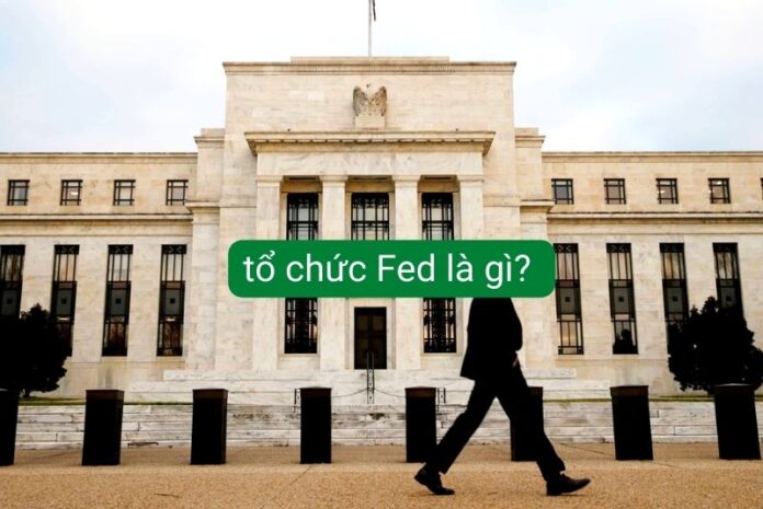 FED là gì? Những điều cần biết về tổ chức FED