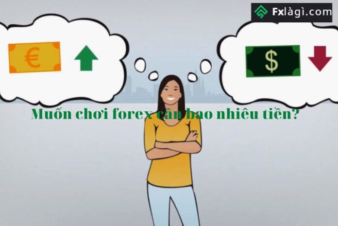 Muốn chơi forex cần bao nhiêu tiền