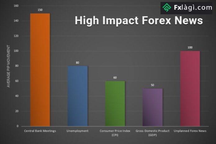 tin fx 24-28/10