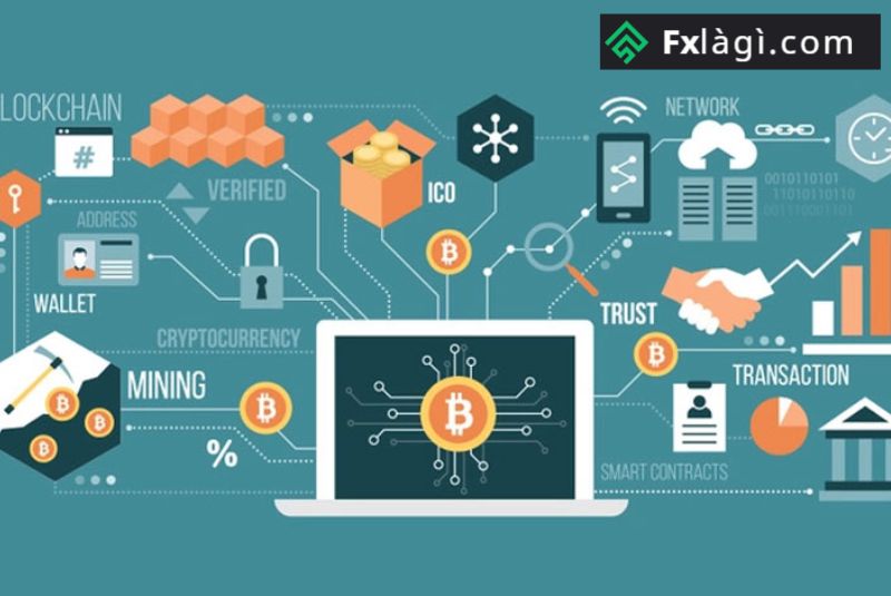 Mạng lưới hệ thống Bitcoin là gì