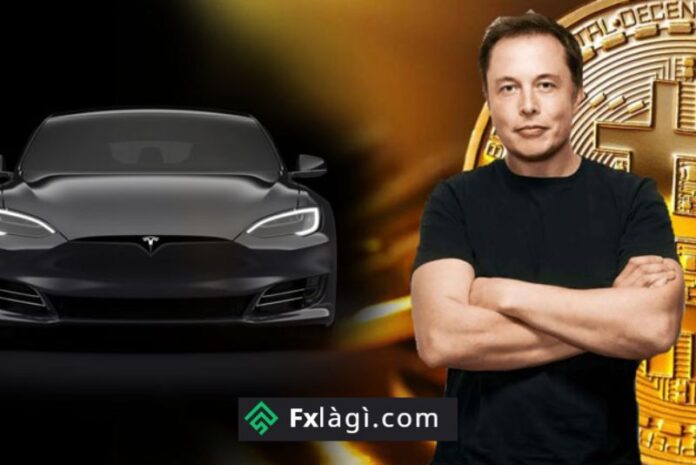 Cổ phiếu Tesla chịu áp lực