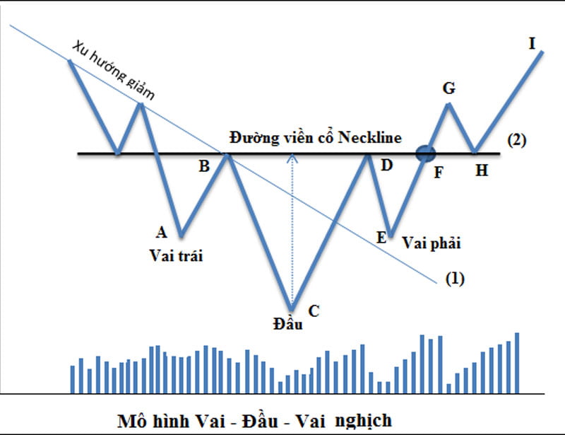 Mô hình vai đầu vai ngược