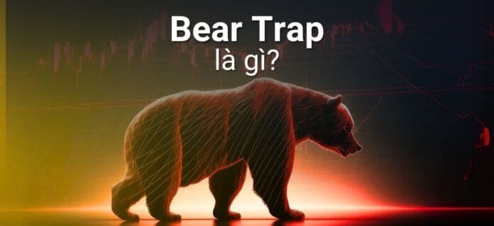 Bẫy gấu Bear Trap là gì?