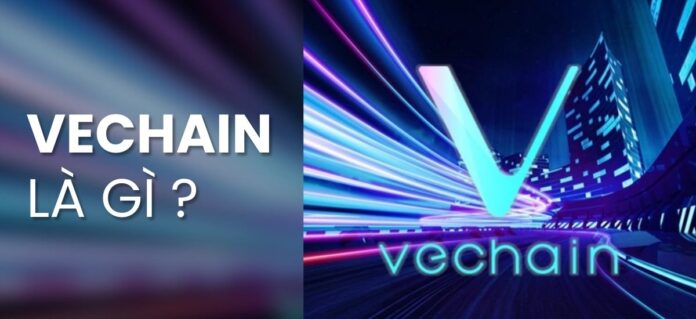 vechain coin là gì